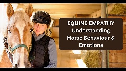 Equine Empathy | Understanding Horse Behavior and Emotions