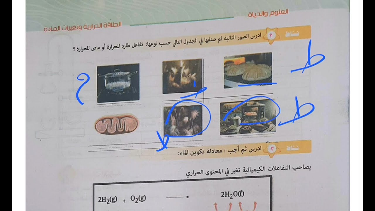 حل أسئلة الأداء الصفى و المنزلى الأسبوع الثانى و الثالث علوم تانية اعدادى ترم تانى منهج جديد ٢٠٢٦