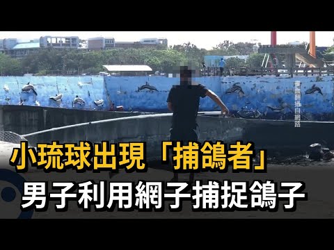 小琉球出現「捕鴿者」　男子利用網子捕捉鴿子－民視新聞