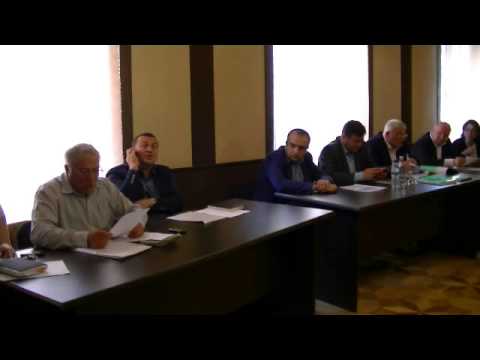 ზაზა მეფარიშვილი ზესტაფონში