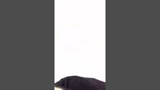 Jimin Laughing Compilation Because I Miss Him