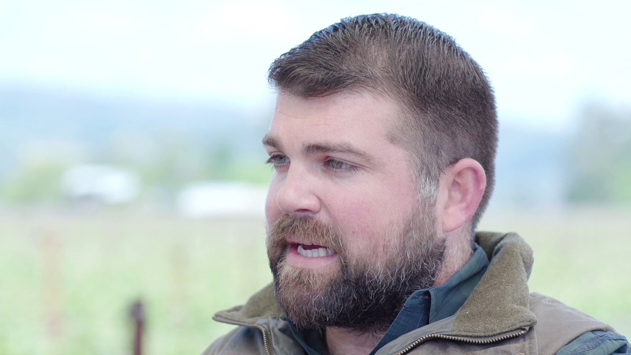 Behind the Wine Copper Cane Wines & Provisions YouTube