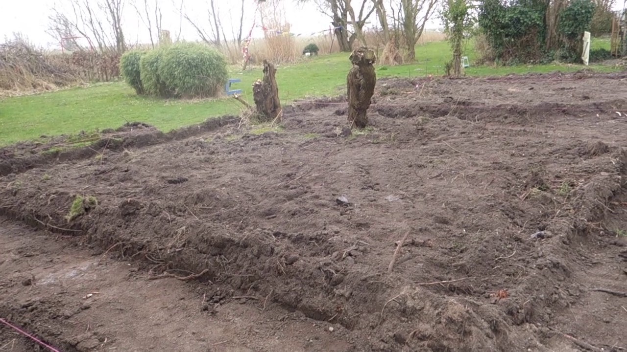 Minervas Hexenhof :Projekt Zaubergarten Teil 4