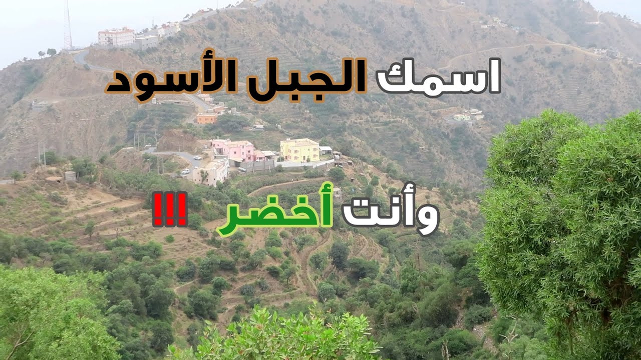 غلطان من سماك الجبل الأسود ( من أفضل الجبال في السعودية )
