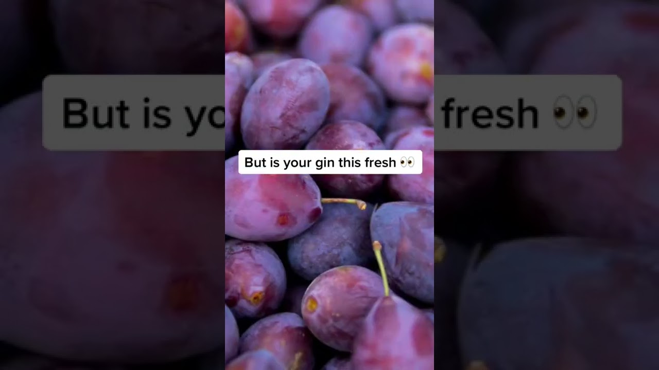 Damson Gin Witherslack Orchards Lake District, UK