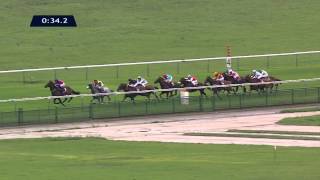 Vidéo de la course PMU QATAR PRIX DU PETIT COUVERT