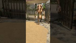 Terrifying Creatures That Appear on Earth P81 #survival #animals #trending #shortvideo #camping