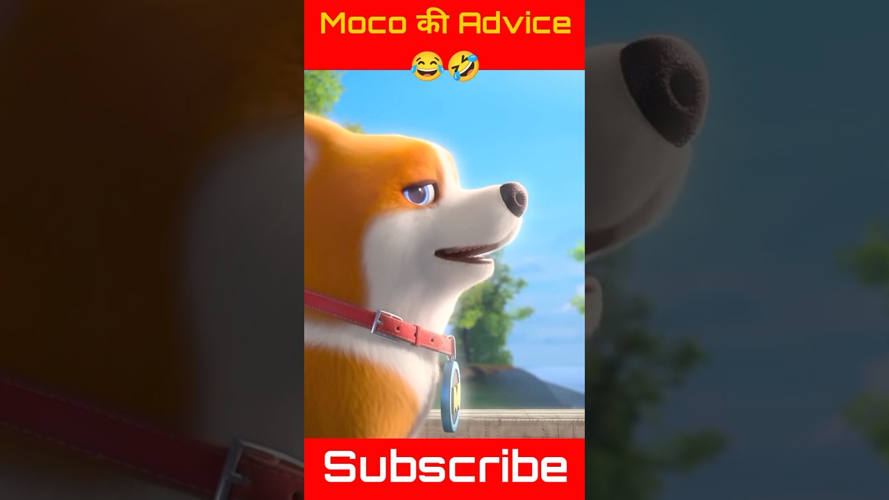 Moco की Advice 😂🤣 | Moco Dog Funny Shorts Video