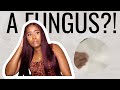 STORYTIME: NAIL SALON HORROR STORY | *receipts included* | THEY GAVE ME A TOE FUNGUS | Liallure