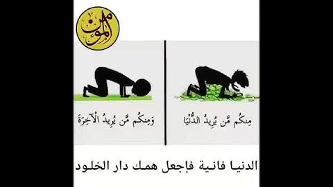 وإنّ الآخرةَ لهي دار القرآر 🌸 - القارئ حمزه الفار || اجمل حالات واتس اب