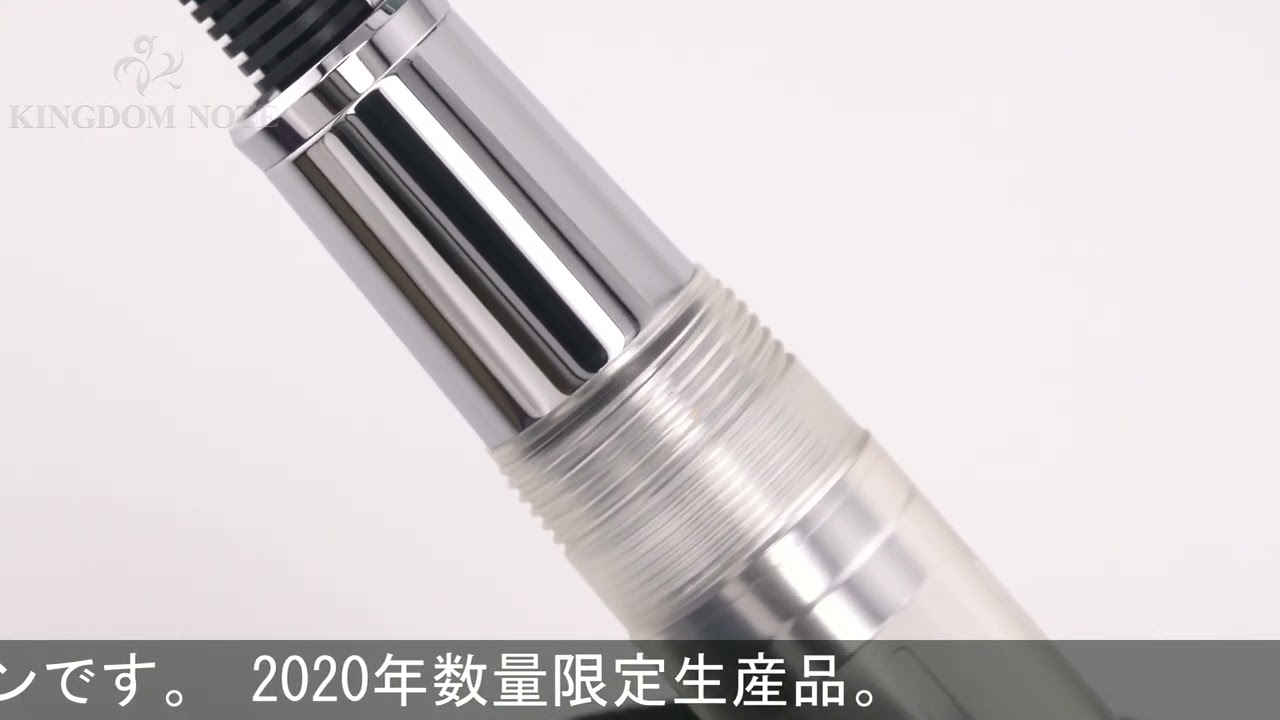 SAILOR セーラー 万年筆 代官山蔦屋書店オリジナル プロフェッショナル