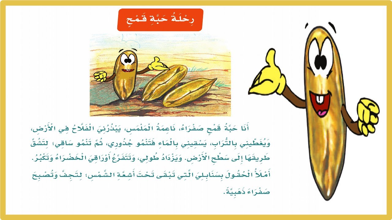 رحلة حبة قمح لغتي الصف الثاني ف2| رحلة حبة قمح لغتي ثاني ابتدائي| المنهج السعودي|تعليم الاطفال اللغة