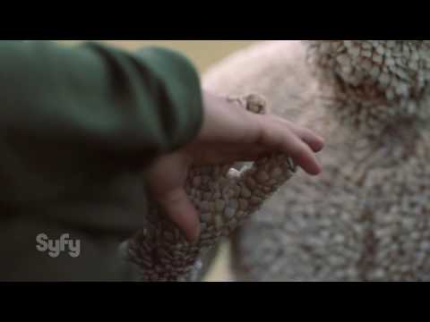 Channel Zero (Syfy) "The Tooth Child is Hungry" Promo HD