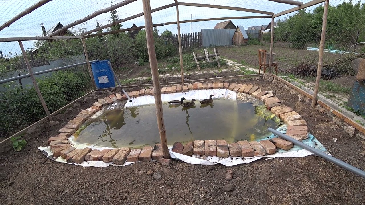 Пруд из баннера своими руками // Содержание подсадных уток ...