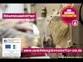 Ausbildung im Raumausstatter-Handwerk