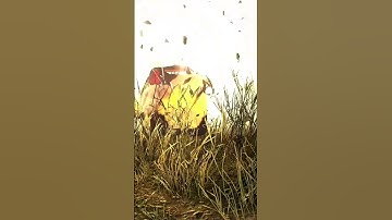 ITS A BIRD, ITS A PLANE… ITS A FLYING N*ZI