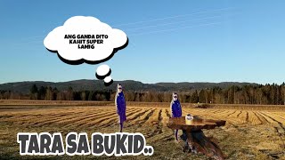 Ganito Na Ang View Sa Bukirin Ng Norway Winter Season Na Memay Emay