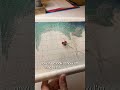 Easy Count aida fabric makes big cross stitch projects easy to start!
