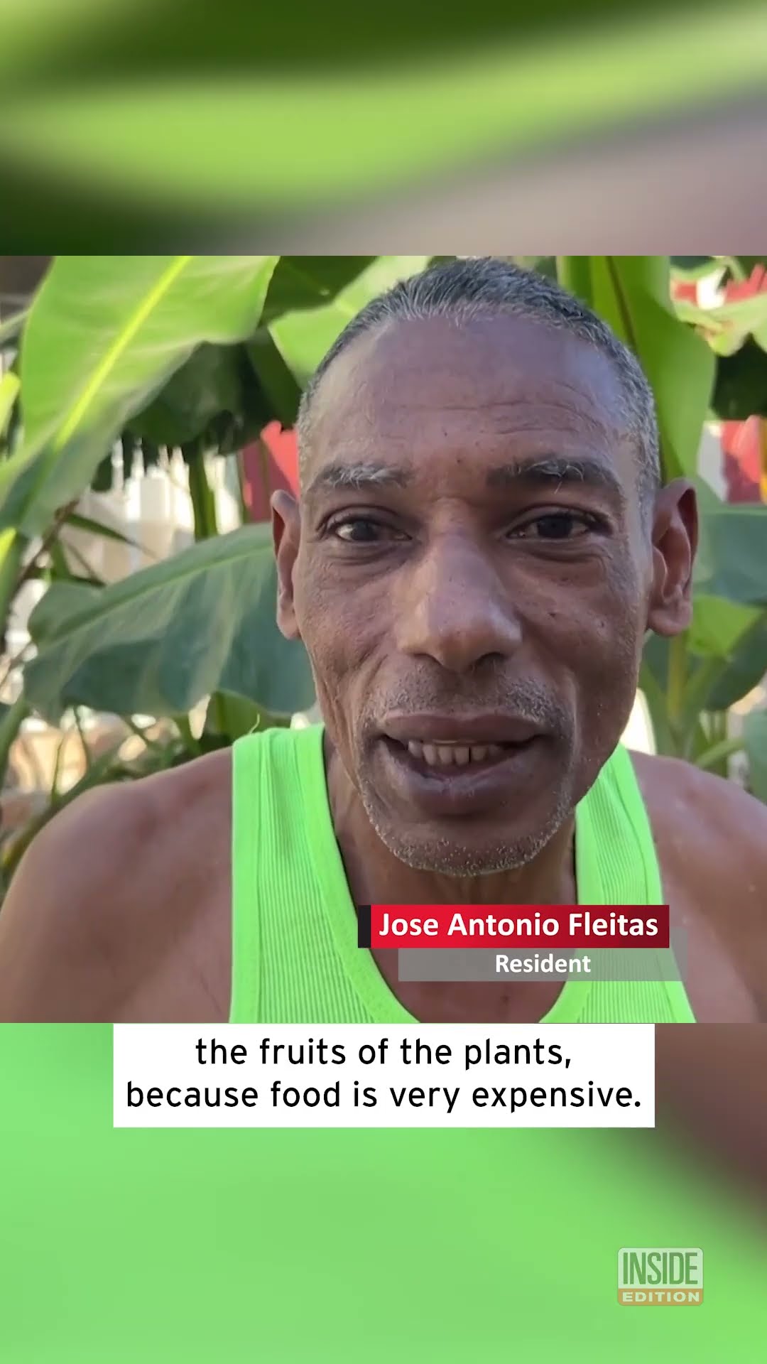 Fruit Trees Grow in Huge Pothole #shorts