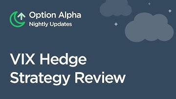 VIX Hedge Strategy Review