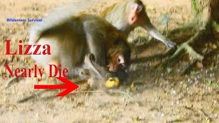 OMG Breaking Heart Lizza Nearly Die Because Giant Monkey Bite Her Very Hard, Lizza So Severe Now!!!