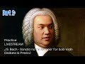 PRACTICE with Ray: Bach Sonata No. 1 in G minor (Part 2: Siciliana & Presto)