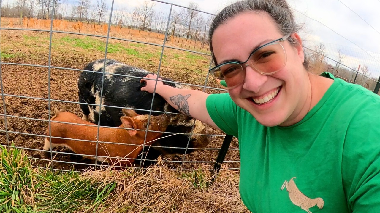 Homestead Life This Week:  NEW Pig, Baby Goat Update,  Dog Treats, Gardening & Figure 8 Disbudding
