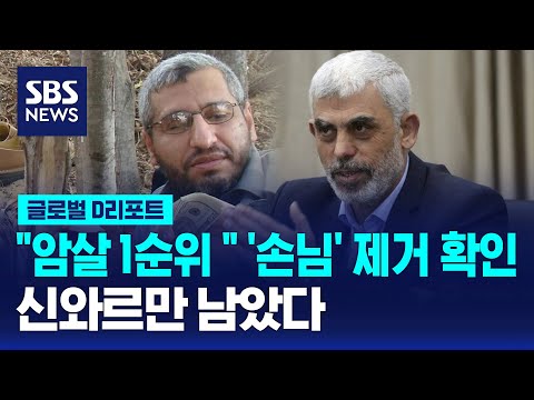 &amp;quot;<strong>암살</strong> 1순위 &amp;quot; &amp;#39;<strong>손님</strong>&amp;#39; 제거 확인…신와르만 남았다 / SBS / #D리포트