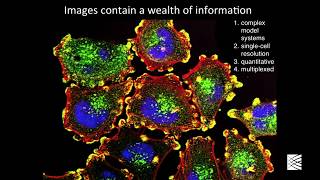 Cell Circuits Primer: Anne Carpenter, Imaging