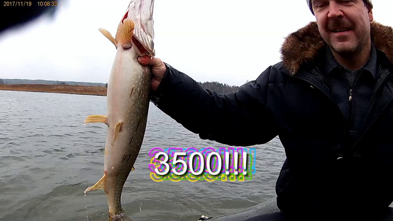 рыбалка на старице реки. рыбалка в старице астраханской области. старица рыбалка. рыбалка на старицы омской области. речка старица уват.