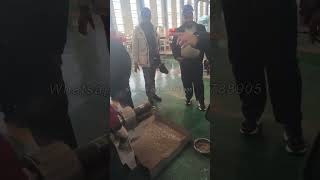 Testing floating fish feed pellet making machine #fishfeedmachine #fishfeed #fishfarming #fishing