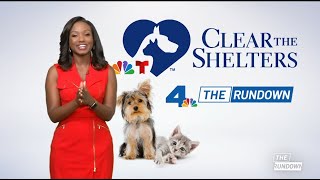 The Rundown Tuesday August 1, 2023 Nbcla