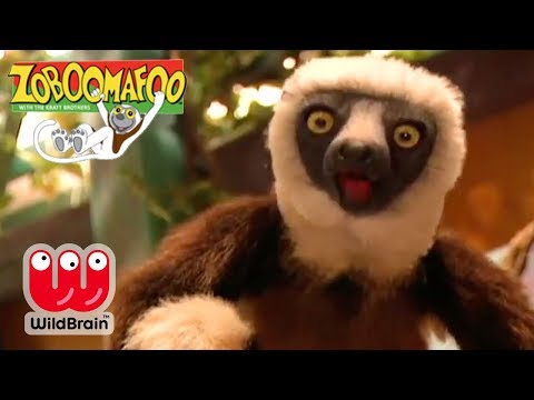 Zoboomafoo | EPISODE COMPILATION: Shocked Lemur With New Animals | Animals For Kids