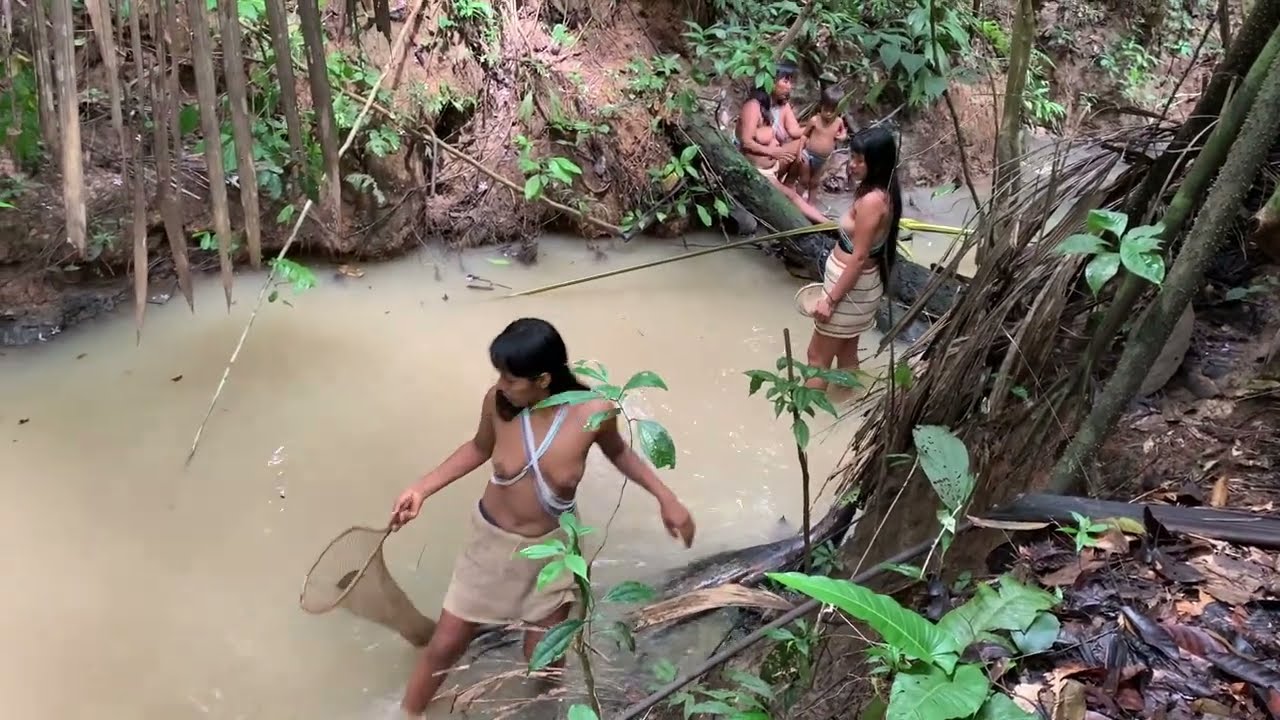 Fishing with Barbasco in Amazon