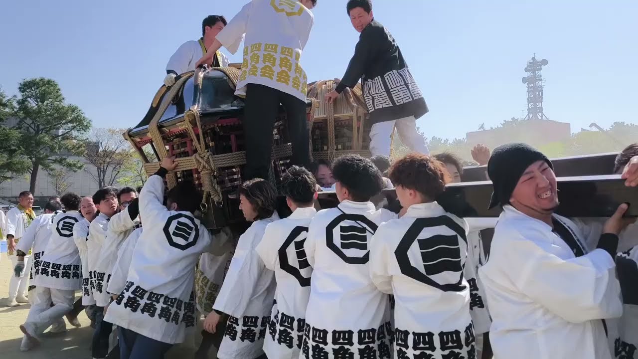 松山春まつりお城まつり2025 古町大神輿【四角八角】模擬鉢合わせ 