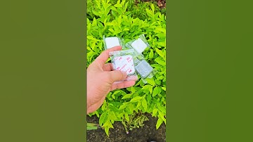 Silicon đệm cửa chống va đập giảm tiếng ồn #phukien