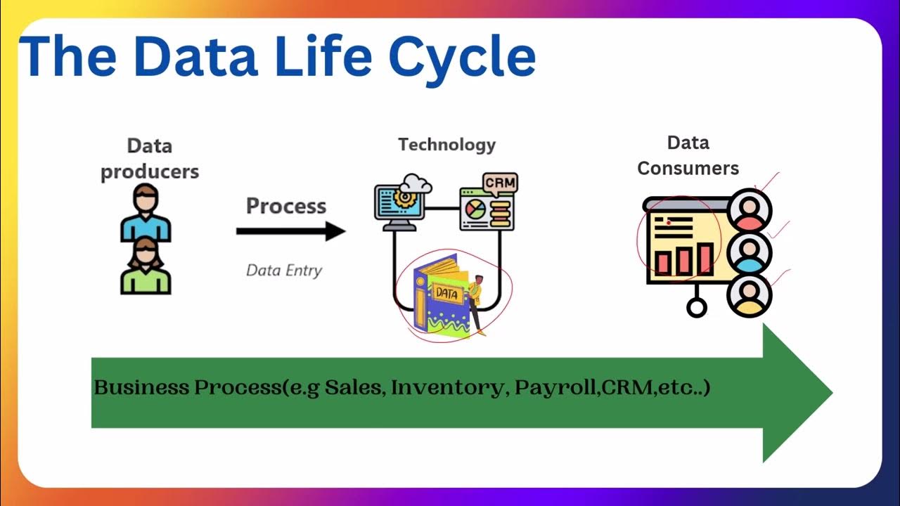 2-1 The Data Life Cycle - YouTube