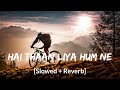 Hai thaan liya hum ne  slowed and reverb  dasvi  new version  full hindi song