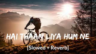 Hai Thaan Liya Hum Ne | Slowed and Reverb | Dasvi | New Version | Full Hindi Song