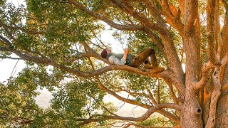 Famous Case Study: How to engage students with branching scenarios Net Worth