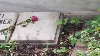 fani bir rüzgar|aşiyan yolu