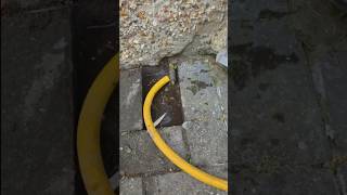 Who You Calling If You Have A Hidden Leak?