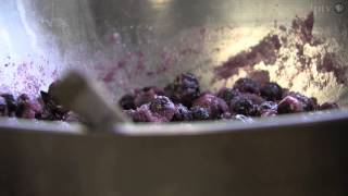 All About Pies | Iowa Ingredient