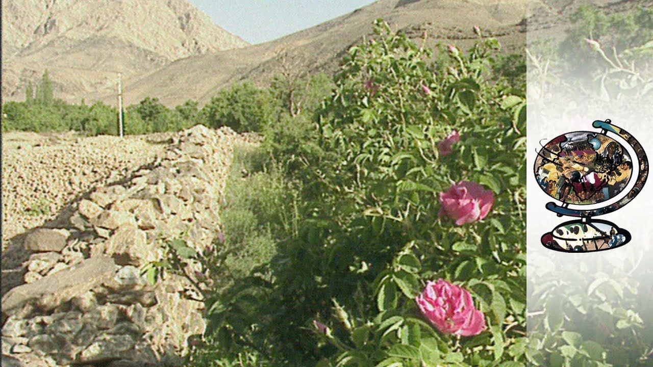 iranian innovation in the