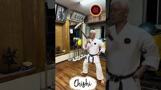 Traditional Okinawan Gojuryu Karate #Hojoundo #chishi#higaonnasensei #karate #okinawa #togkf