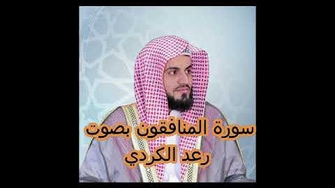 سورة المنافقون بصوت رعد الكردي