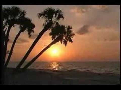 ماهر المعيقلي سورة التحريم رائعه وخاشعه للغايه 