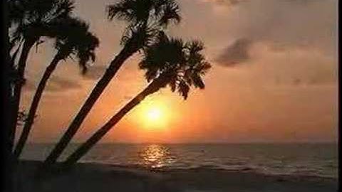 ماهر المعيقلي ( سورة التحريم ) رائعه وخاشعه للغايه