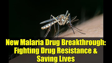 New Malaria Drug Breakthrough: Fighting Drug Resistance & Saving Lives