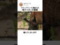 ブラックマンパに噛まれた母ライオンの最後